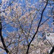 ヒメ日記 2025/04/15 21:02 投稿 みほ 御奉仕関係 -淑女の秘め事-