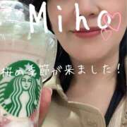 みほ 桜 御奉仕関係 -淑女の秘め事-