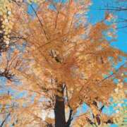 ヒメ日記 2024/12/30 22:06 投稿 広田 熟女の風俗最終章 新横浜店