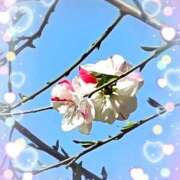 ヒメ日記 2026/03/22 14:46 投稿 広田 熟女の風俗最終章 新横浜店