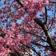 ヒメ日記 2026/04/04 18:32 投稿 広田 熟女の風俗最終章 新横浜店