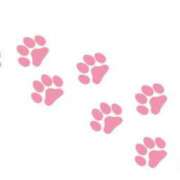 ヒメ日記 2025/04/29 23:34 投稿 アンナ ニューヨーカー