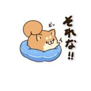 ヒメ日記 2025/05/13 10:04 投稿 アンナ ニューヨーカー