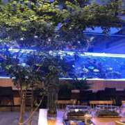 ヒメ日記 2025/08/28 12:43 投稿 まどか クラブKG