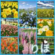 ヒメ日記 2025/04/24 06:12 投稿 りほ 横浜パフパフチェリーパイ