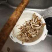 ヒメ日記 2025/11/17 20:48 投稿 りほ 横浜パフパフチェリーパイ