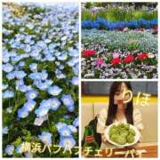 ヒメ日記 2026/04/20 13:22 投稿 りほ 横浜パフパフチェリーパイ