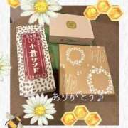 ヒメ日記 2025/03/11 11:02 投稿 さくら 横浜パフパフチェリーパイ