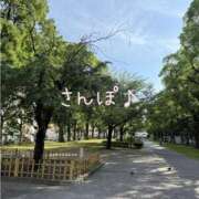 ヒメ日記 2025/06/21 16:32 投稿 さくら 横浜パフパフチェリーパイ