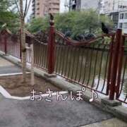 ヒメ日記 2025/07/20 09:03 投稿 さくら 横浜パフパフチェリーパイ