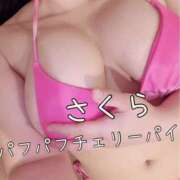 ヒメ日記 2025/09/22 09:03 投稿 さくら 横浜パフパフチェリーパイ