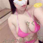 ヒメ日記 2025/10/27 15:42 投稿 さくら 横浜パフパフチェリーパイ