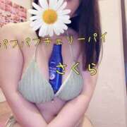 さくら おはよー♪ 横浜パフパフチェリーパイ