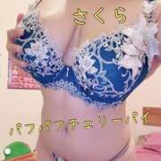 ヒメ日記 2025/12/27 17:12 投稿 さくら 横浜パフパフチェリーパイ