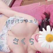 ヒメ日記 2026/01/29 11:32 投稿 さくら 横浜パフパフチェリーパイ