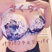 さくら こんにちは♪ 横浜パフパフチェリーパイ