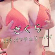 さくら こんばんは♪ 横浜パフパフチェリーパイ