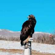 ヒメ日記 2025/02/23 19:07 投稿 まりな 土浦ハッピーマットパラダイス