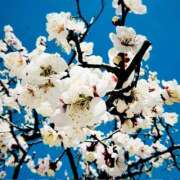 ヒメ日記 2025/02/26 13:07 投稿 まりな 土浦ハッピーマットパラダイス