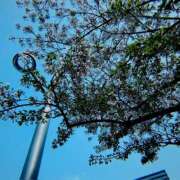 ヒメ日記 2025/04/12 15:27 投稿 まりな 土浦ハッピーマットパラダイス