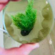 ヒメ日記 2025/04/14 15:27 投稿 まりな 土浦ハッピーマットパラダイス