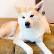 ヒメ日記 2025/04/27 12:08 投稿 まりな 土浦ハッピーマットパラダイス