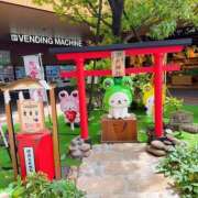 ヒメ日記 2025/05/11 08:27 投稿 まりな 土浦ハッピーマットパラダイス