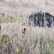 ヒメ日記 2025/06/05 15:47 投稿 まりな 土浦ハッピーマットパラダイス