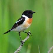 ヒメ日記 2025/06/06 19:37 投稿 まりな 土浦ハッピーマットパラダイス