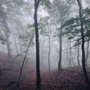 ヒメ日記 2025/07/17 22:27 投稿 まりな 土浦ハッピーマットパラダイス