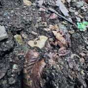 ヒメ日記 2025/07/21 20:57 投稿 まりな 土浦ハッピーマットパラダイス