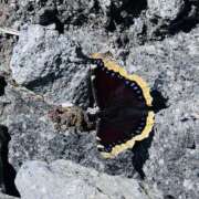 ヒメ日記 2025/08/29 14:57 投稿 まりな 土浦ハッピーマットパラダイス