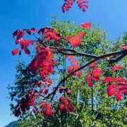 ヒメ日記 2025/08/29 18:08 投稿 まりな 土浦ハッピーマットパラダイス