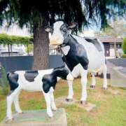 ヒメ日記 2025/09/07 13:07 投稿 まりな 土浦ハッピーマットパラダイス