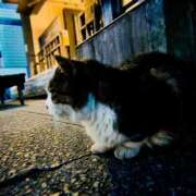 ヒメ日記 2025/10/02 19:37 投稿 まりな 土浦ハッピーマットパラダイス