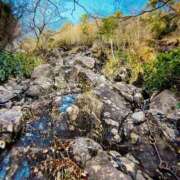 ヒメ日記 2025/11/16 08:17 投稿 まりな 土浦ハッピーマットパラダイス