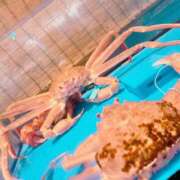 ヒメ日記 2025/12/16 20:59 投稿 まりな 土浦ハッピーマットパラダイス