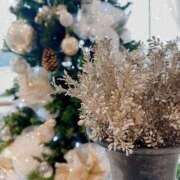 ヒメ日記 2025/12/19 21:07 投稿 まりな 土浦ハッピーマットパラダイス