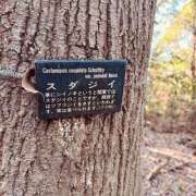 ヒメ日記 2026/01/13 09:37 投稿 まりな 土浦ハッピーマットパラダイス