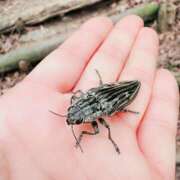 ヒメ日記 2026/01/20 20:47 投稿 まりな 土浦ハッピーマットパラダイス