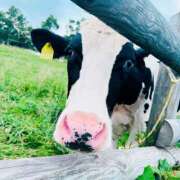 ヒメ日記 2026/02/10 21:37 投稿 まりな 土浦ハッピーマットパラダイス