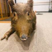 ヒメ日記 2026/02/21 08:27 投稿 まりな 土浦ハッピーマットパラダイス