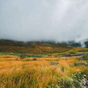 ヒメ日記 2026/02/24 20:57 投稿 まりな 土浦ハッピーマットパラダイス