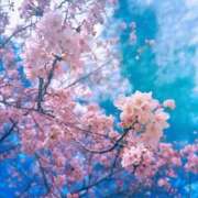 ヒメ日記 2026/04/02 22:07 投稿 まりな 土浦ハッピーマットパラダイス