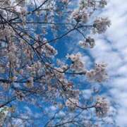 ヒメ日記 2026/04/07 19:28 投稿 まりな 土浦ハッピーマットパラダイス