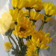 ヒメ日記 2026/04/13 07:17 投稿 なお 土浦ハッピーマットパラダイス