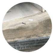 ヒメ日記 2025/10/29 17:49 投稿 長沢みのり 一夜妻