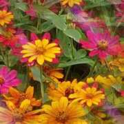 ヒメ日記 2024/12/10 15:09 投稿 まい ただいま京都店