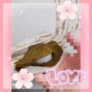 ヒメ日記 2025/03/25 12:09 投稿 まい ただいま京都店