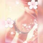 ヒメ日記 2025/04/09 11:05 投稿 まい ただいま京都店